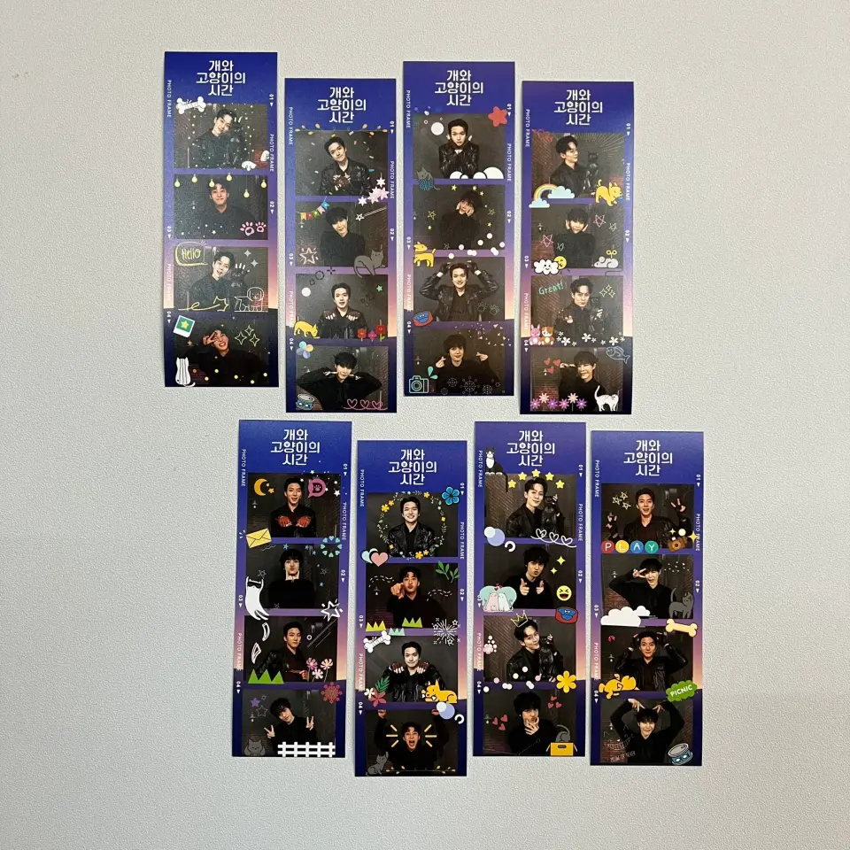 개와 고양이의 시간 scene 10